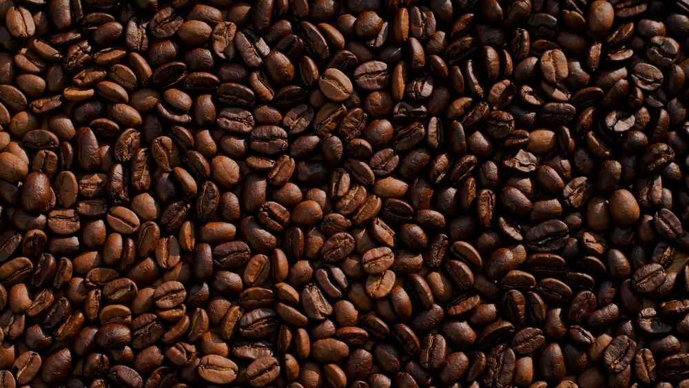 Coffee Exporters in Tanzania