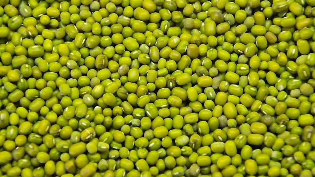 Green Mung Beans Exporter in Tanzania