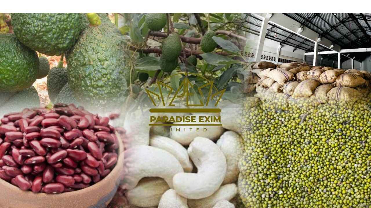 Premium Agro Products Exported to Europe From Tanzania, Africa
