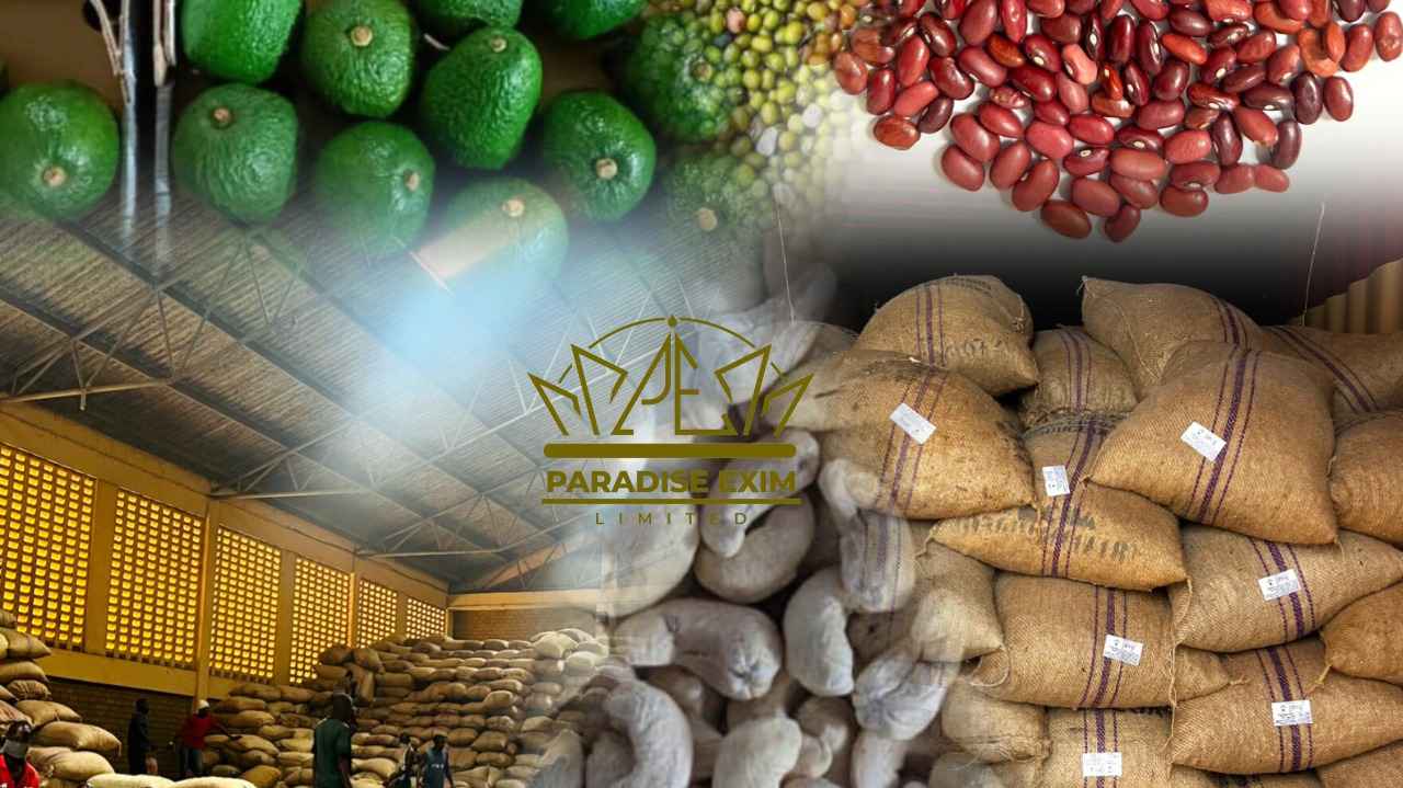 Guidance for Agro Product Importers in the UAE Seeking Supplies from Tanzania, Africa
