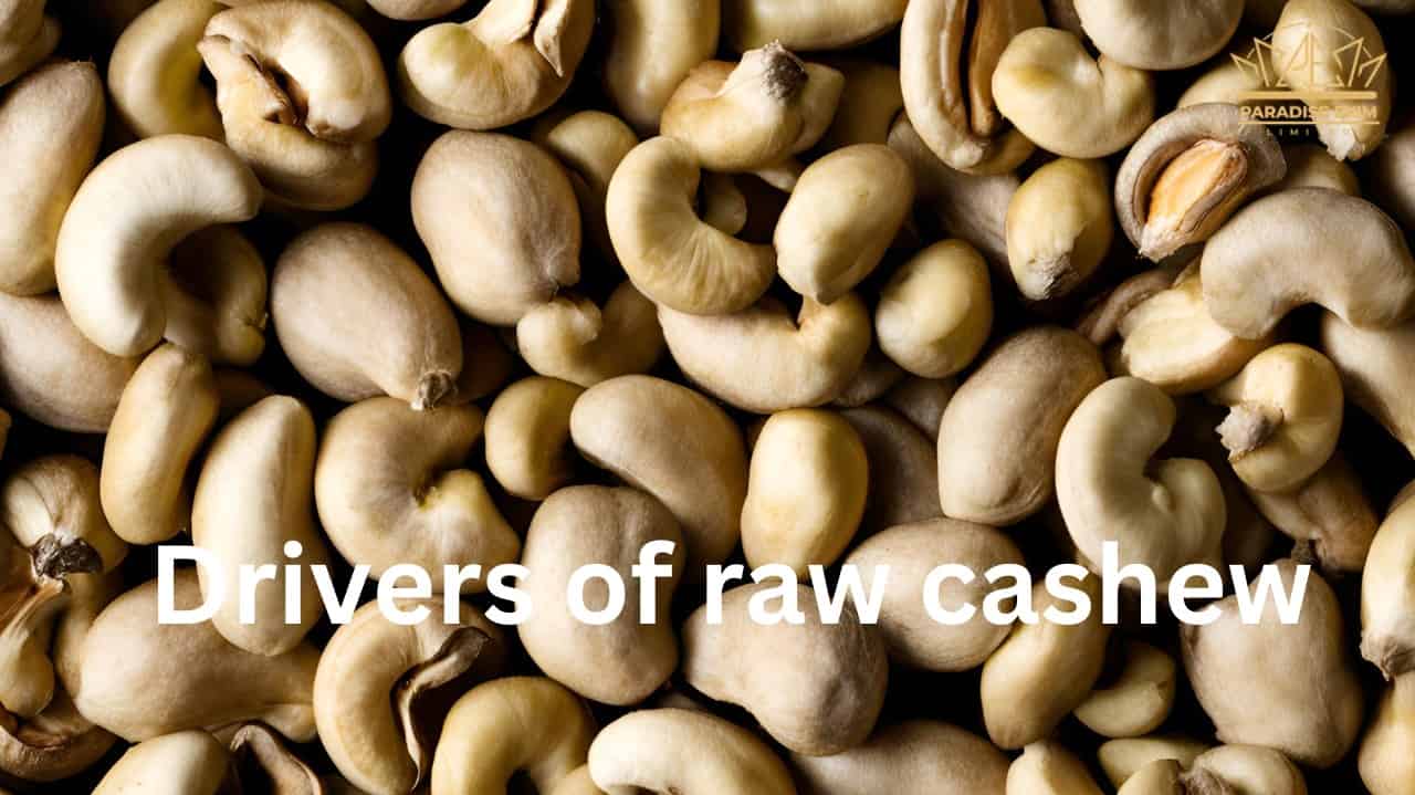 The drivers of the Raw Cashew Tanzania