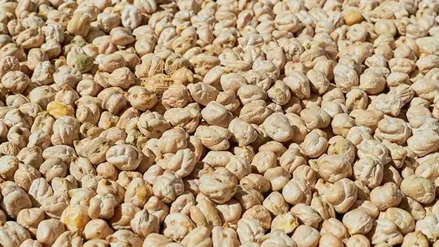 Chickpeas exports from Tanzania