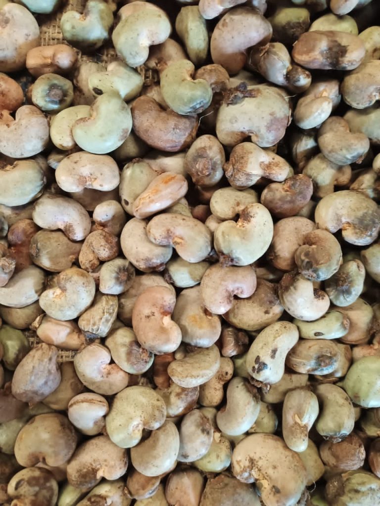Raw cashewnuts from Africa