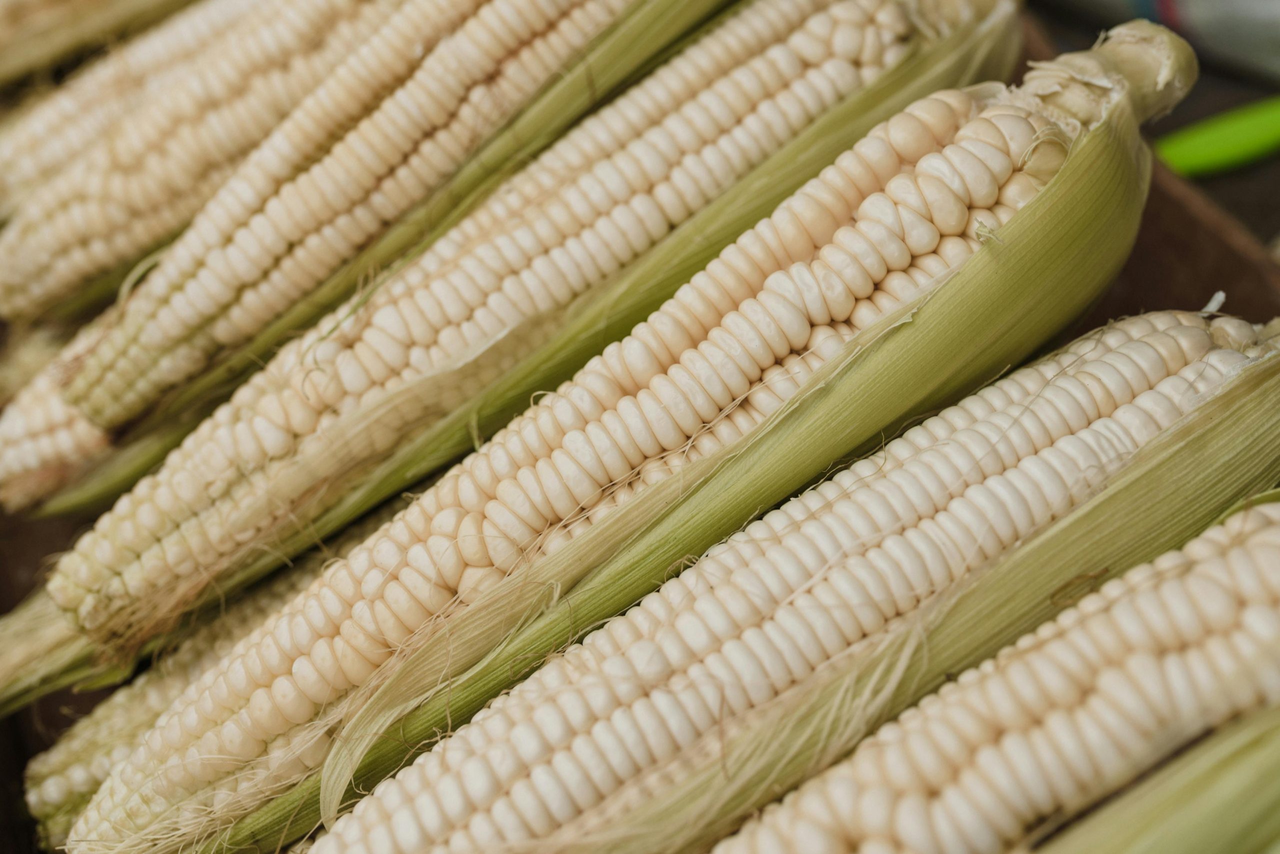 White Maize Exports from Tanzania