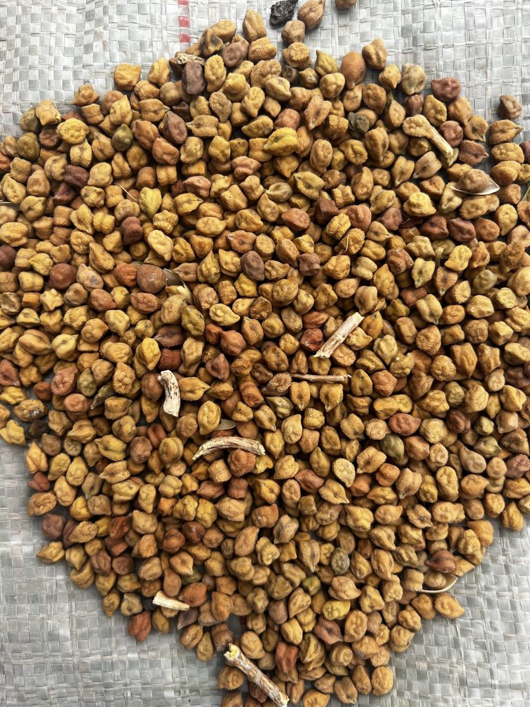 Premium agro products to Dubai from Tanzania